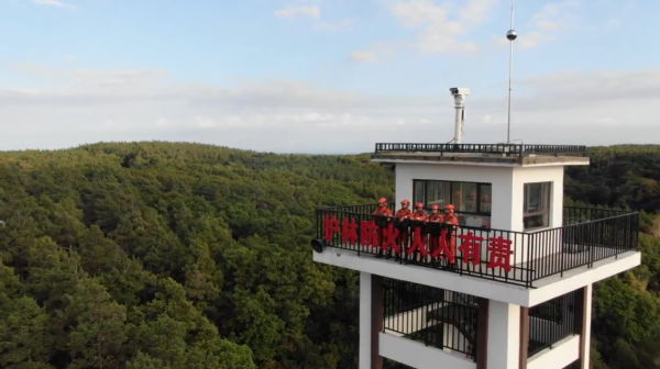 0fae9d1f5324ee8406ae11e3b76fed76