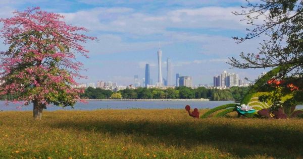 深圳西涌国际滨海旅游区