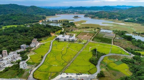 微信图片_2025-12-29_094236_137_副本