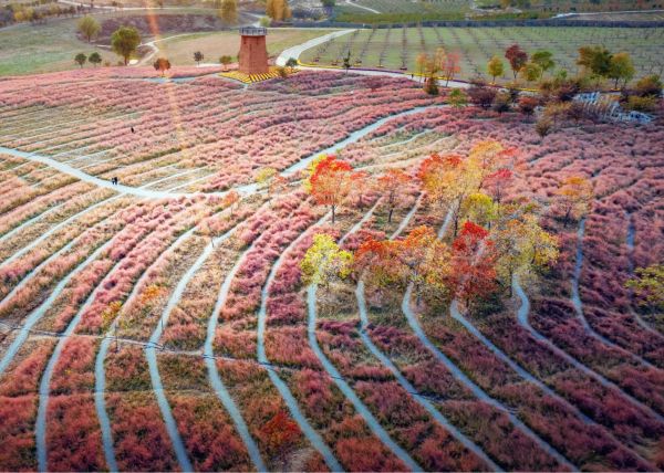 微信图片_2025-12-29_081102_441