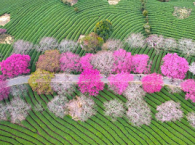 围炉煮茶，传统生活展新颜