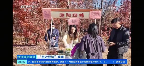 CCTV2央视截图 (1)