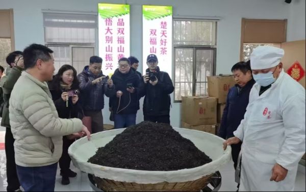 微信图片_2026-02-09_170442_998