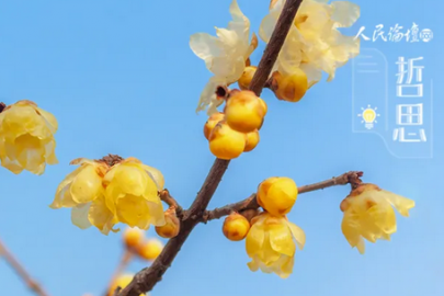 哲思 | 提升自信的3个好习惯