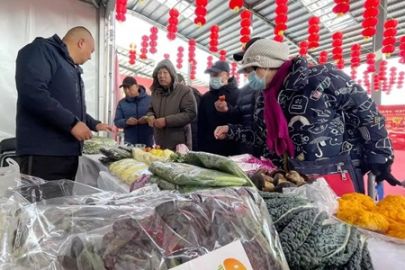 节前“菜篮子”产品量足价稳