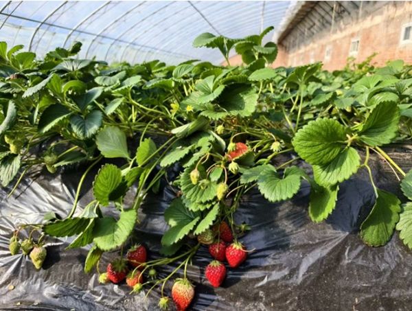 屏幕截图_12-2-2026_9740_finance.people.com.cn