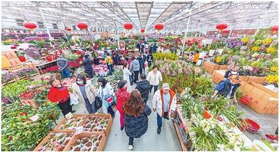 北方花市红红火火