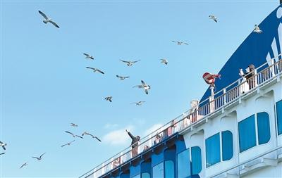 春运图景不断焕新