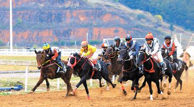 4f305363-c6a0-4189-baaf-c5bcbae88984