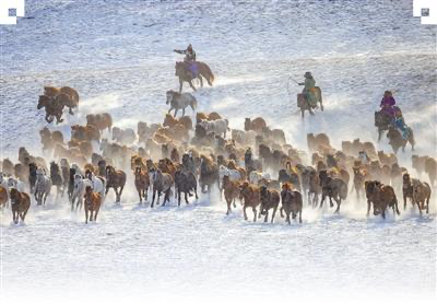 9034f9a5-0325-45f2-a385-213662209af0