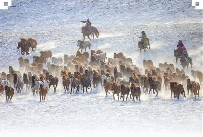 马上运动 快意风行 