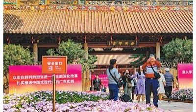 多样出游 年味出新