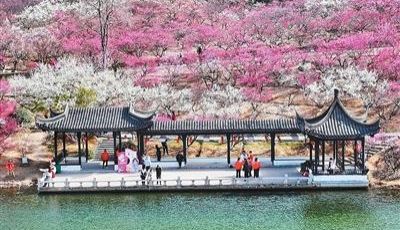 消费市场活力迸发