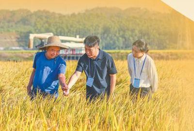我国稳居世界第一大粮食生产国 
