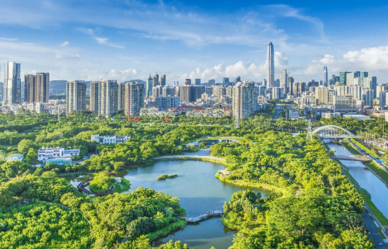 深圳市福田红树林生态公园（魏梓静摄）