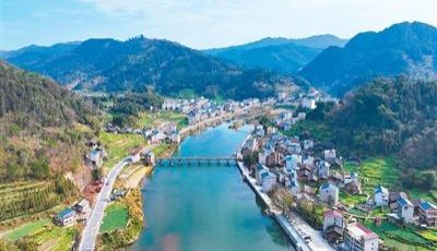 在推动经济向新向优中实干担当