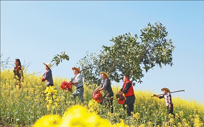 2025年完成营造林356.3万公顷 