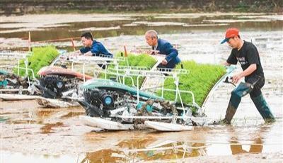 强农惠农富农 这些补贴可领