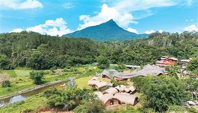 中国增绿 又多又快