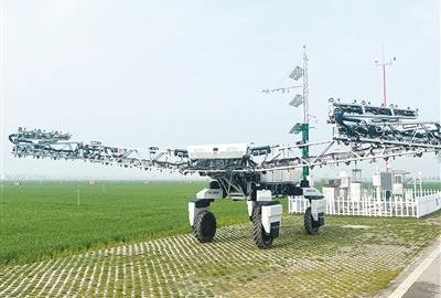 抢春分 抓田管 越关口