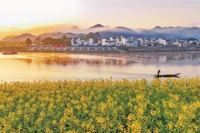 从“垃圾围城”到“变废为宝”，怎么做到的？