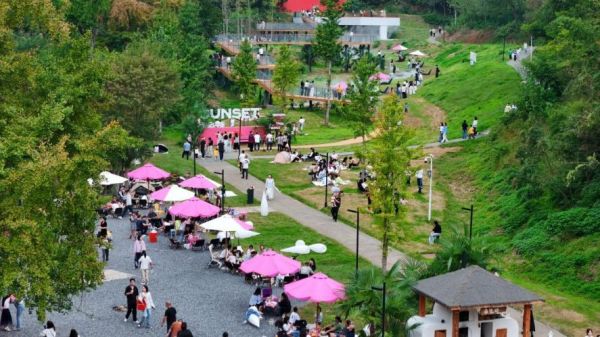 微信图片_20260307114557_22_961