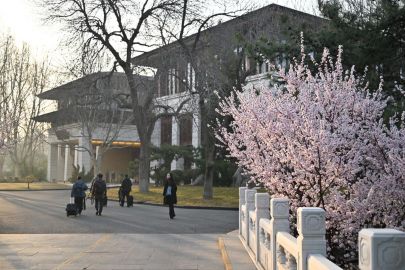 中国发展的确定性振奋世界