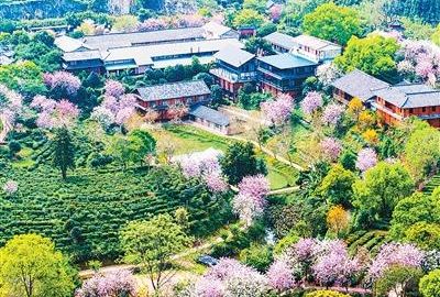 春日消费“花开”多地 