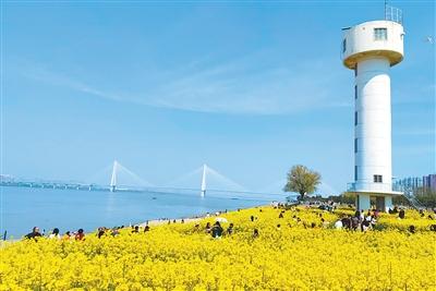 长江畔，百里生态廊道变“宽”了