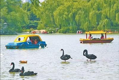 泉涌地表，照见治理实效