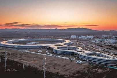 你好，我的“大”邻居！