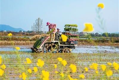 这次“三农”摸家底，将有哪些新变化？