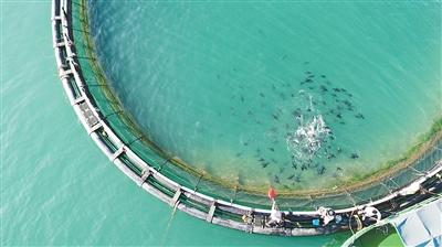 引数据“活水”，助企业养鱼