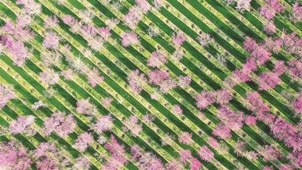 27e2a3bb-634b-48d3-802f-1ad80b3b0458