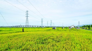 特色农产品变身优势产业