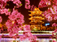 大运河畔，南甘泉村的动与静