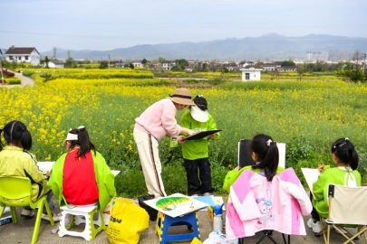 春日经济活力的关键何在