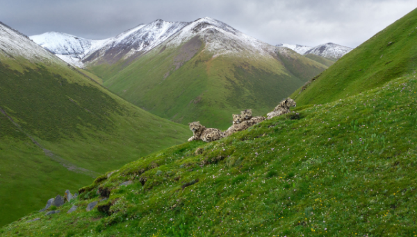 截图20260410173324