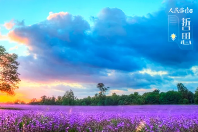 哲思｜“半”字里，藏着人生大智慧