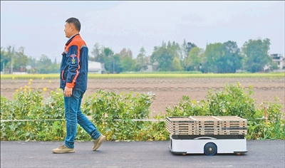 田间来了“大力士”，能扛秧苗几百斤