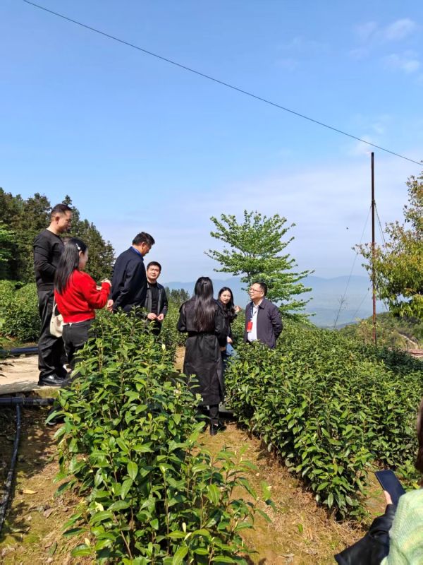 mmexport1776322756943