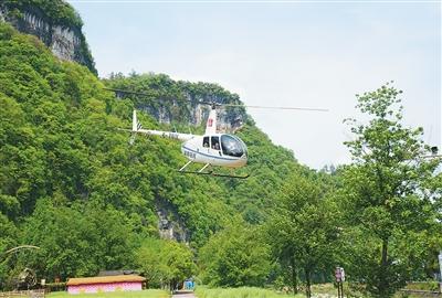 服务业发展质效持续提升