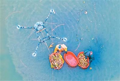 低空经济，飞得稳也要用得活 