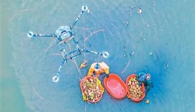 低空经济，飞得稳也要用得活 