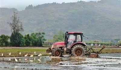 农业农村经济保持良好发展势头