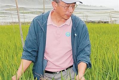 把计算机代码“种”进泥土里