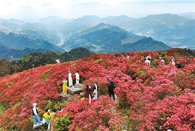 国内游市场将再迎出游高峰