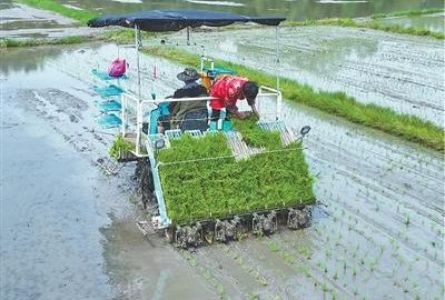一键下单 农机到田