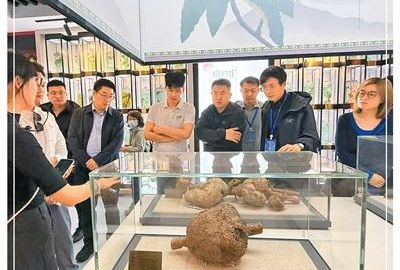 一场跨越时空的报国接力