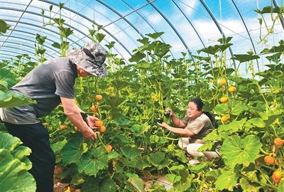 把“三农”短板补得更实